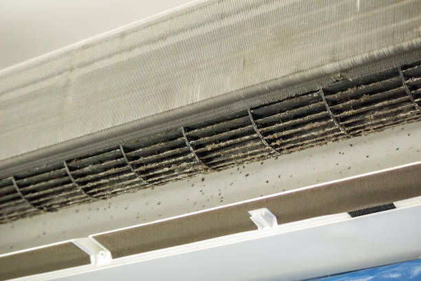 Trusted Eldorado, TX Airduct Cleaning Experts